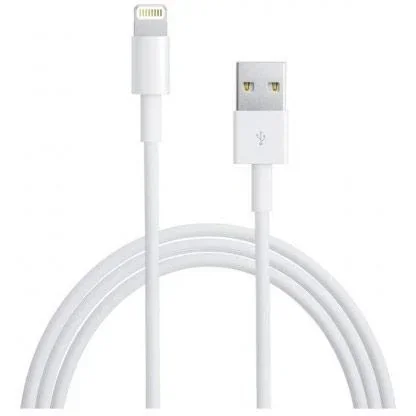 Apple Lightning auf USB Kabel (1 m)