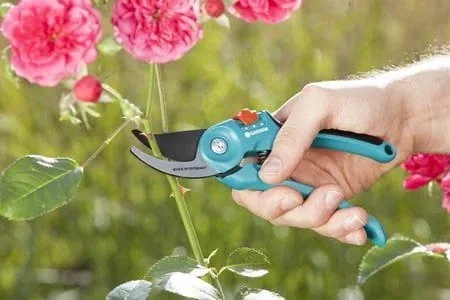 Gartenschere B/S-M