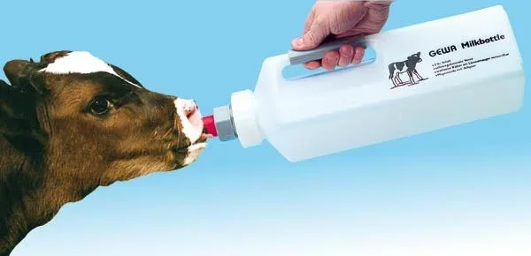 Milchflasche 3 l für Kälber