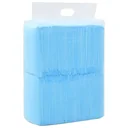 Haustier-Trainingstücher 100 Stück