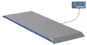 Tierwaage PS1000 bis 500kg