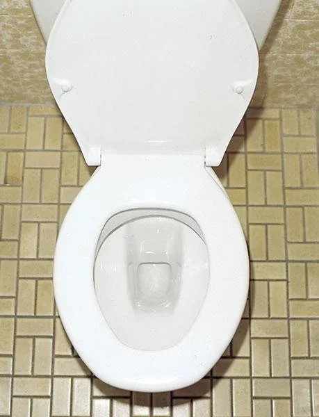 WC Reinigungstabletten"Swiss Tabs", gründliche Reinheit, 20 Stück