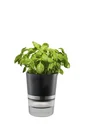 Kräutertopf "BOTANICO"