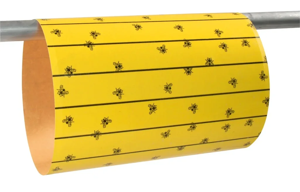 Fliegenfalle FlyMaster 6 Stk., 595x300 mm