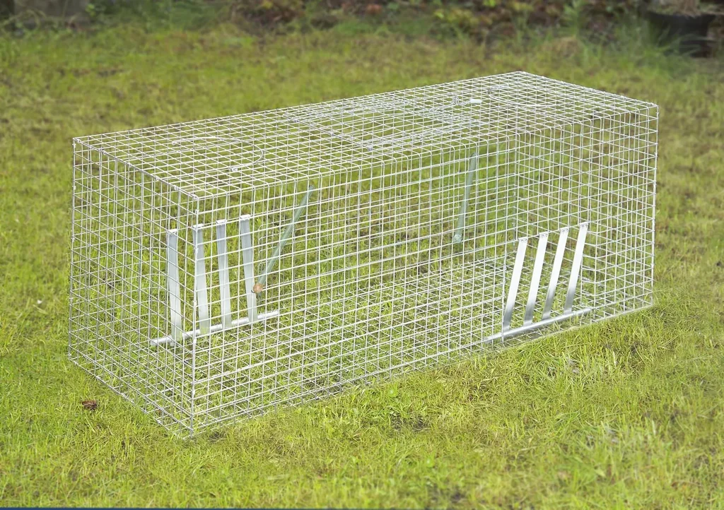 Taubenfalle, 102 x 42 x 36 cm