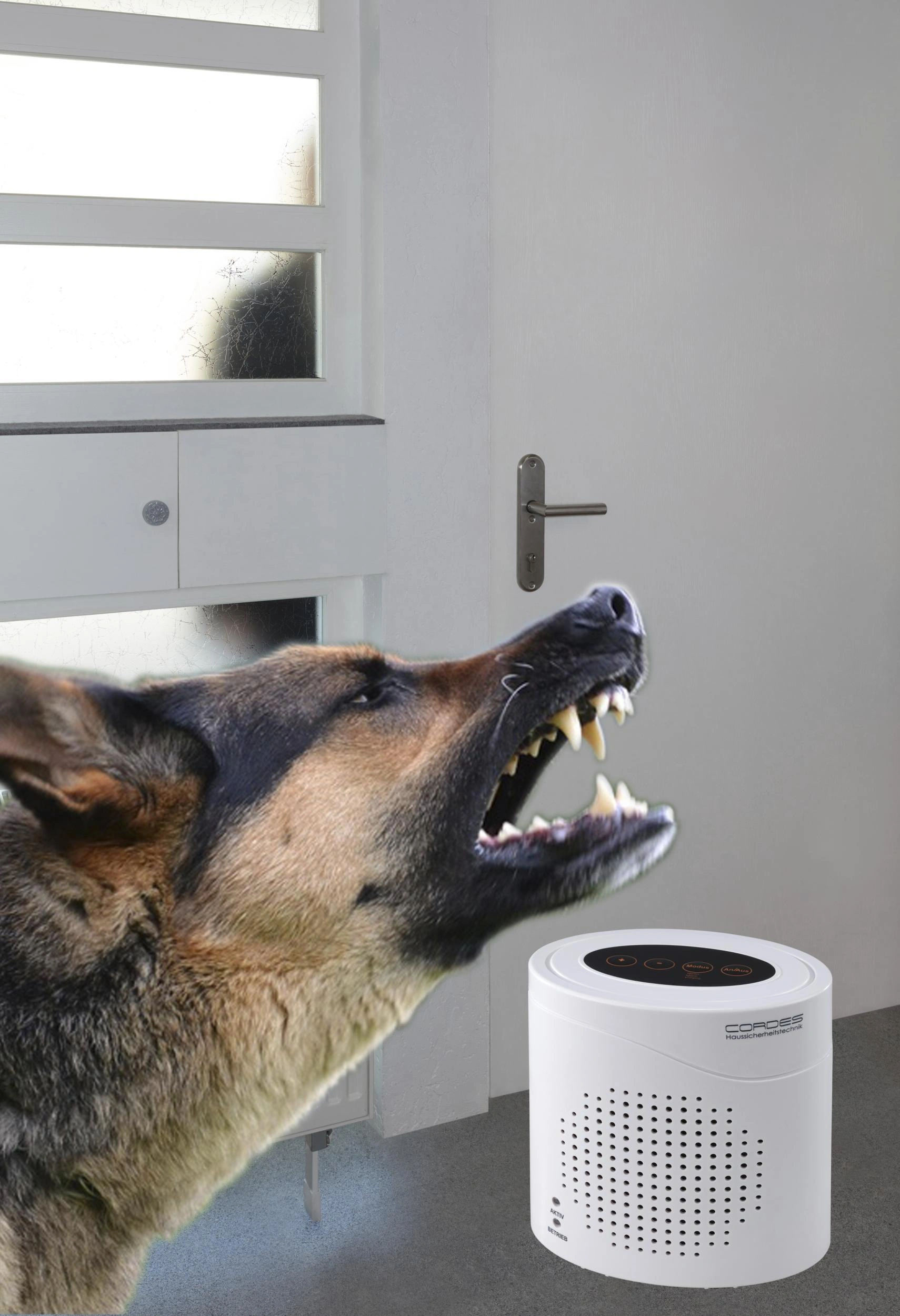 Elektronischer Wachhund CC-2200 mit Fernbedienung