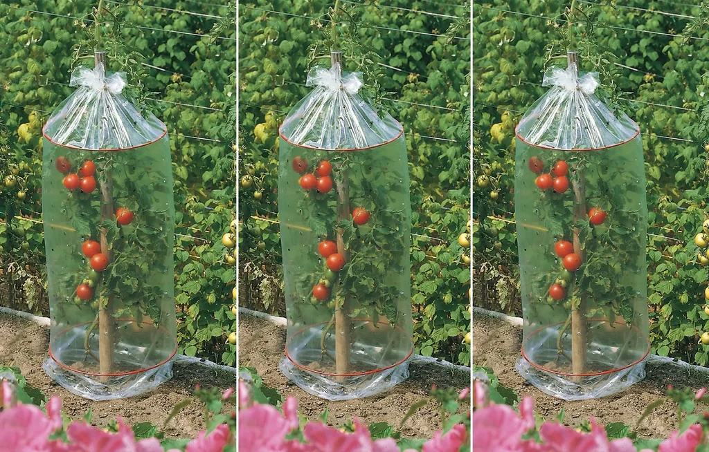 Tomaten Schutzhauben 3 x 3er Set