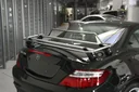 Gepäckträger Edelstahl Summer für Mercedes Benz SLK 2 Bauj. ab 2004