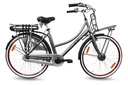 Damen City E-Bike, 28 Zoll, Rahmenhöhe 50 cm, 7-Gang Nabenschaltung, grau, Rosendaal 3 Lady, 13Ah