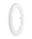 LED T9 Rundröhre mit 20 Watt, G10q, kaltweiß, 2000 Lumen