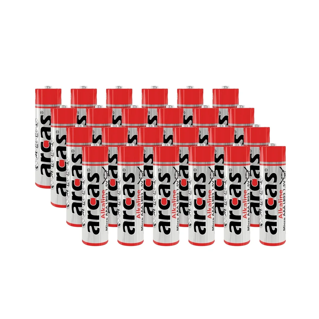 Alkaline Micro (AAA) Batterien - 24 Stück