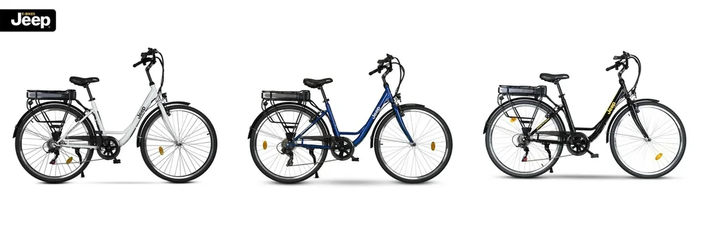Unisex City E-Bike, 28 Zoll , Rahmengröße 44 cm 6-Gang Kettenschaltung, schwarz, ECR 3000