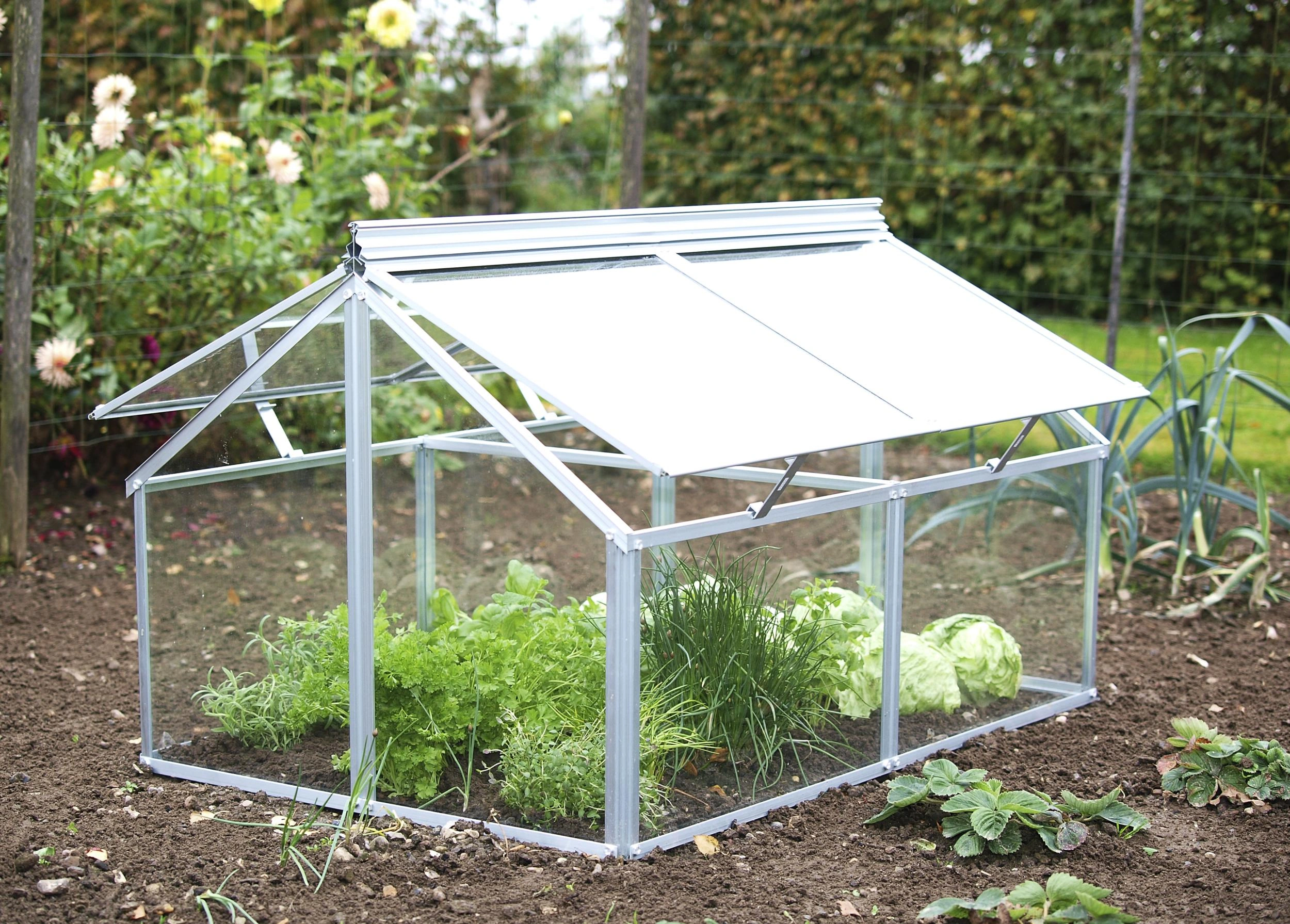 Frühbeet Gaia Jumbo HKP4mm