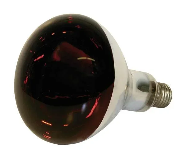 Infrarot Hartglaslampe, 250 Watt, rot