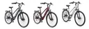 Damen Alu Trekking E-Bike, 28 Zoll, Rahmenhöhe 50 cm, 24-Gang Kettenschaltung, weinrot, XC940 Expedition,