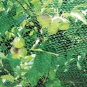 Vogelschutznetz - 4 x 10 m
