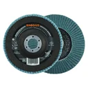 Fächerschleifscheibe LS80 Stahl & INOX, 125 x 22 x 22,23 mm, K60, 10 Stück