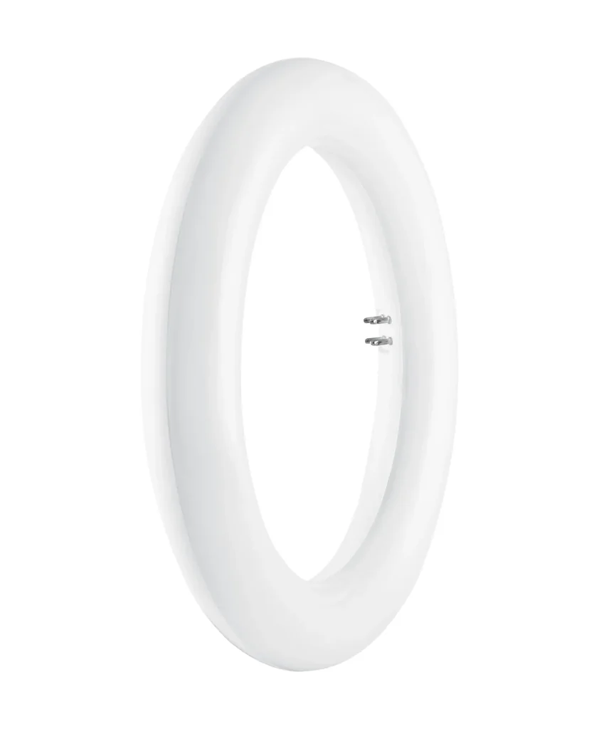 LED T9 Rundröhre mit 12 Watt, G10q, kaltweiß, 1200 Lumen