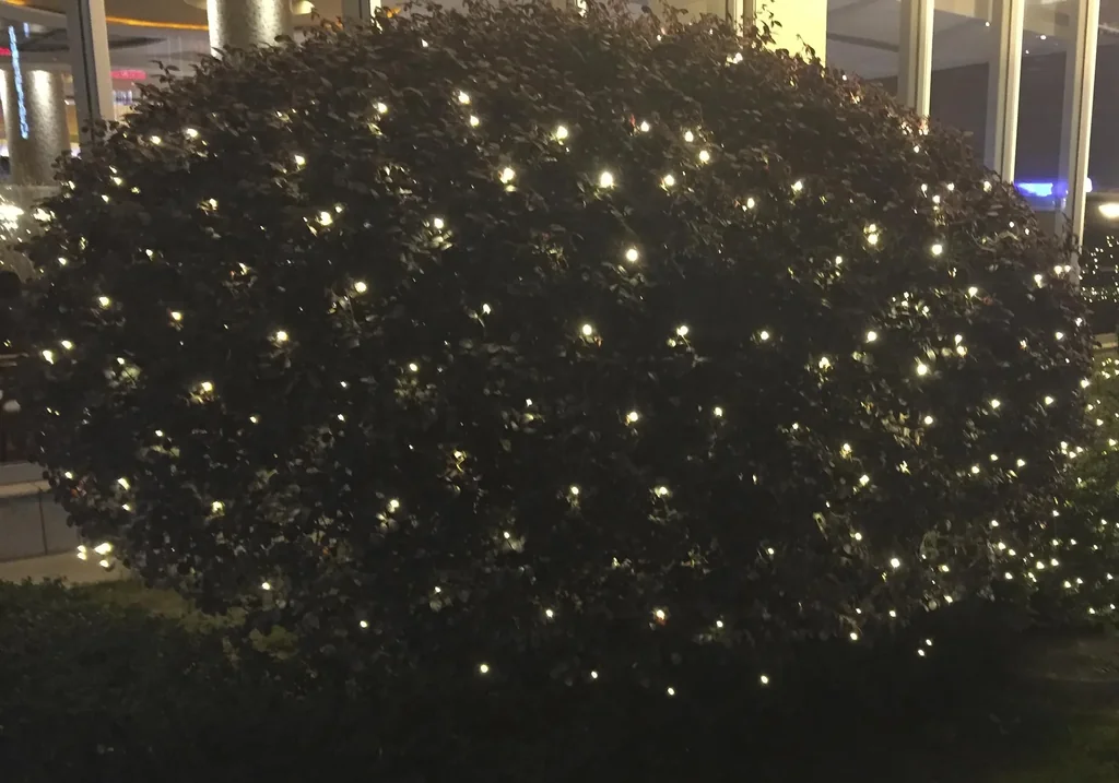 LED Lichternetz mit 120 warmweißen LEDs, 2x2 m