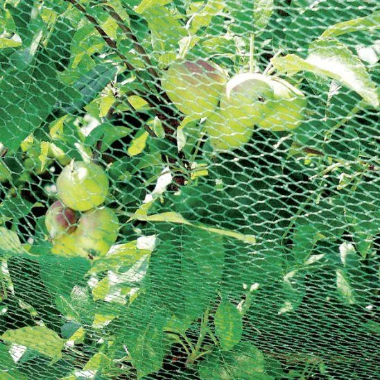 Vogelschutznetz - 2 x 10 m