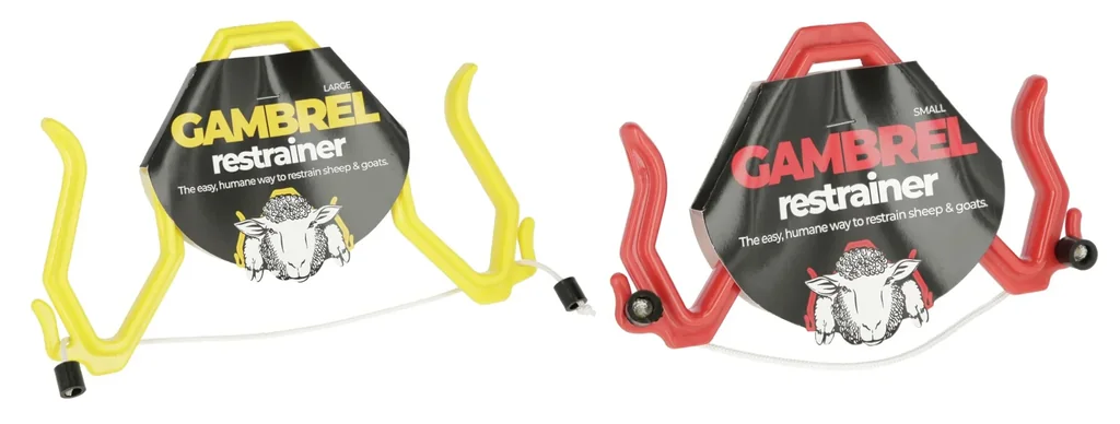 Immobilisierungsbogen 19,5 x 11 cm