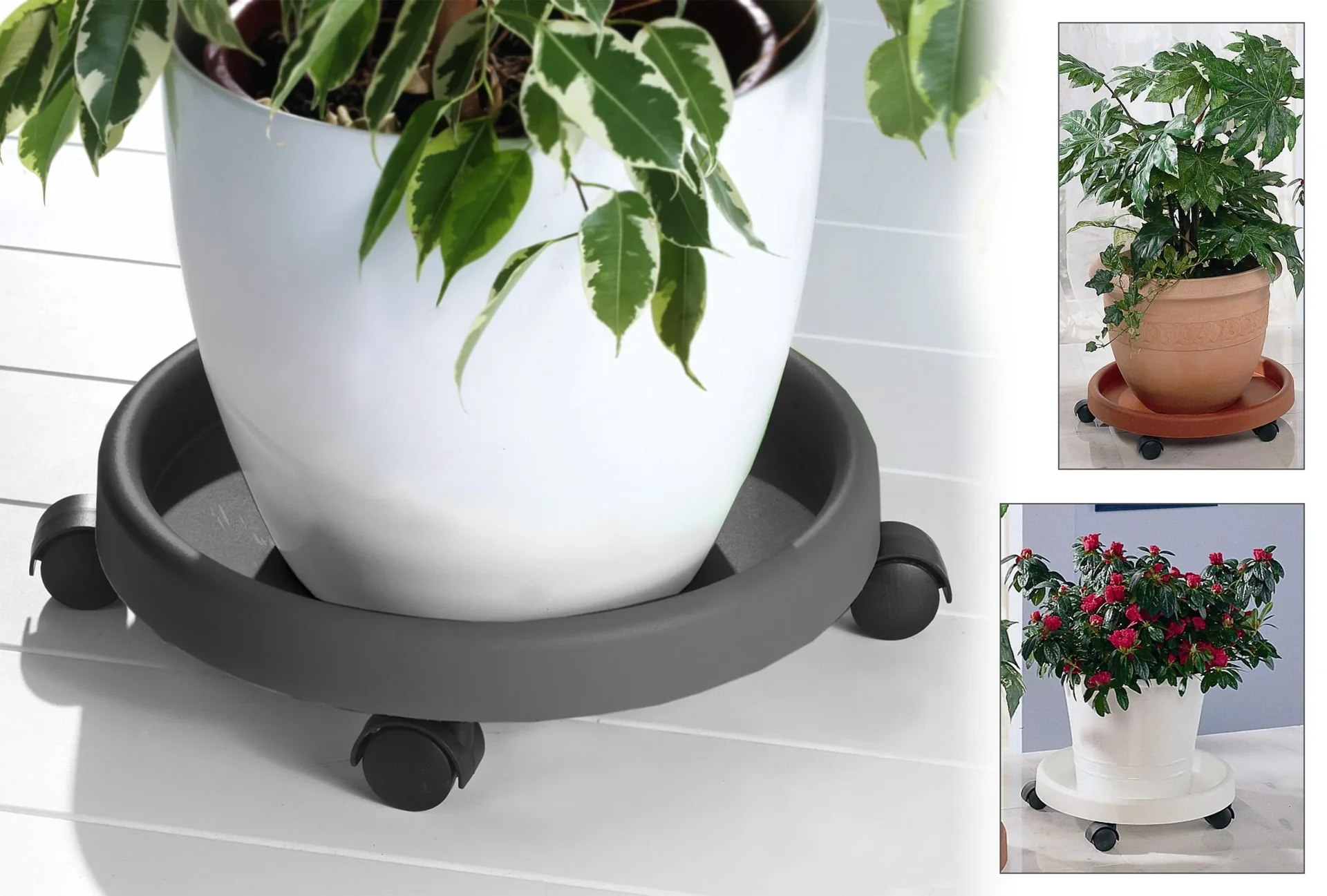 Pflanzenroller, anthrazit