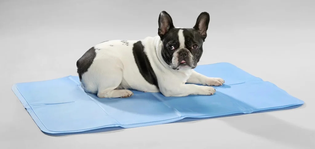 Kühlmatte "PET" 50 x 40 cm