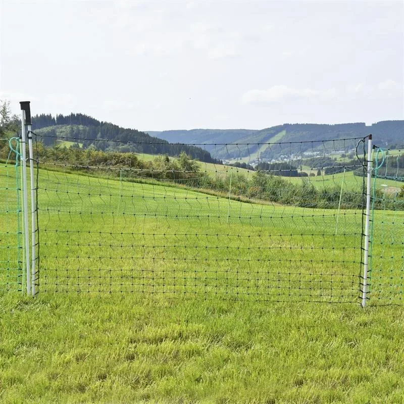 Tor Jumbo 112 cm mit Doppelspitze, 3 m
