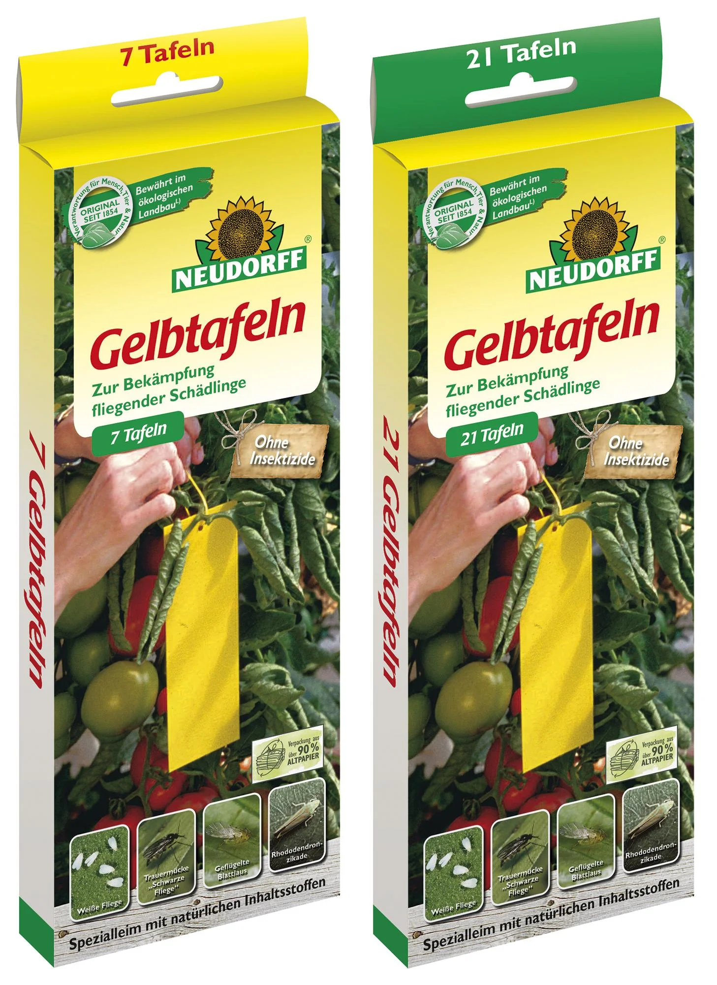 Gelbtafel kleinformat 7,5 x 20 cm - 21 Stück