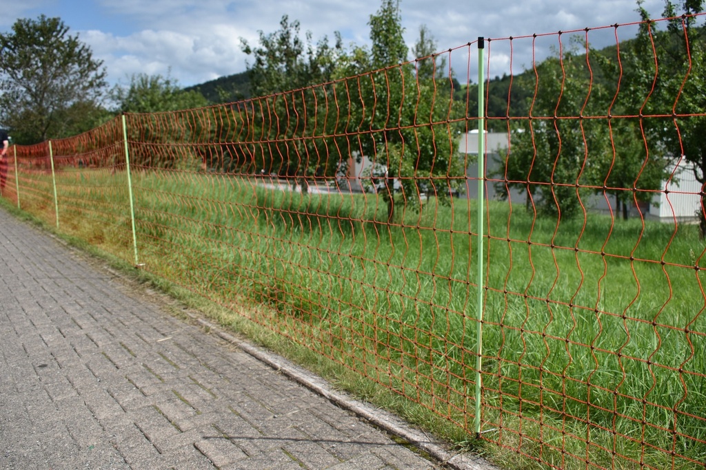 Euro-Netz Geflügel 112/2 50m