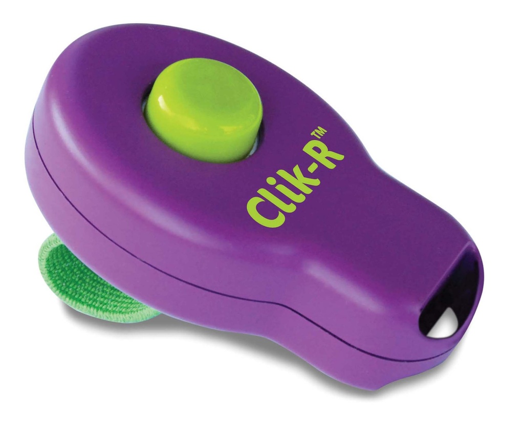 PetSafe Clik-R Training Tool