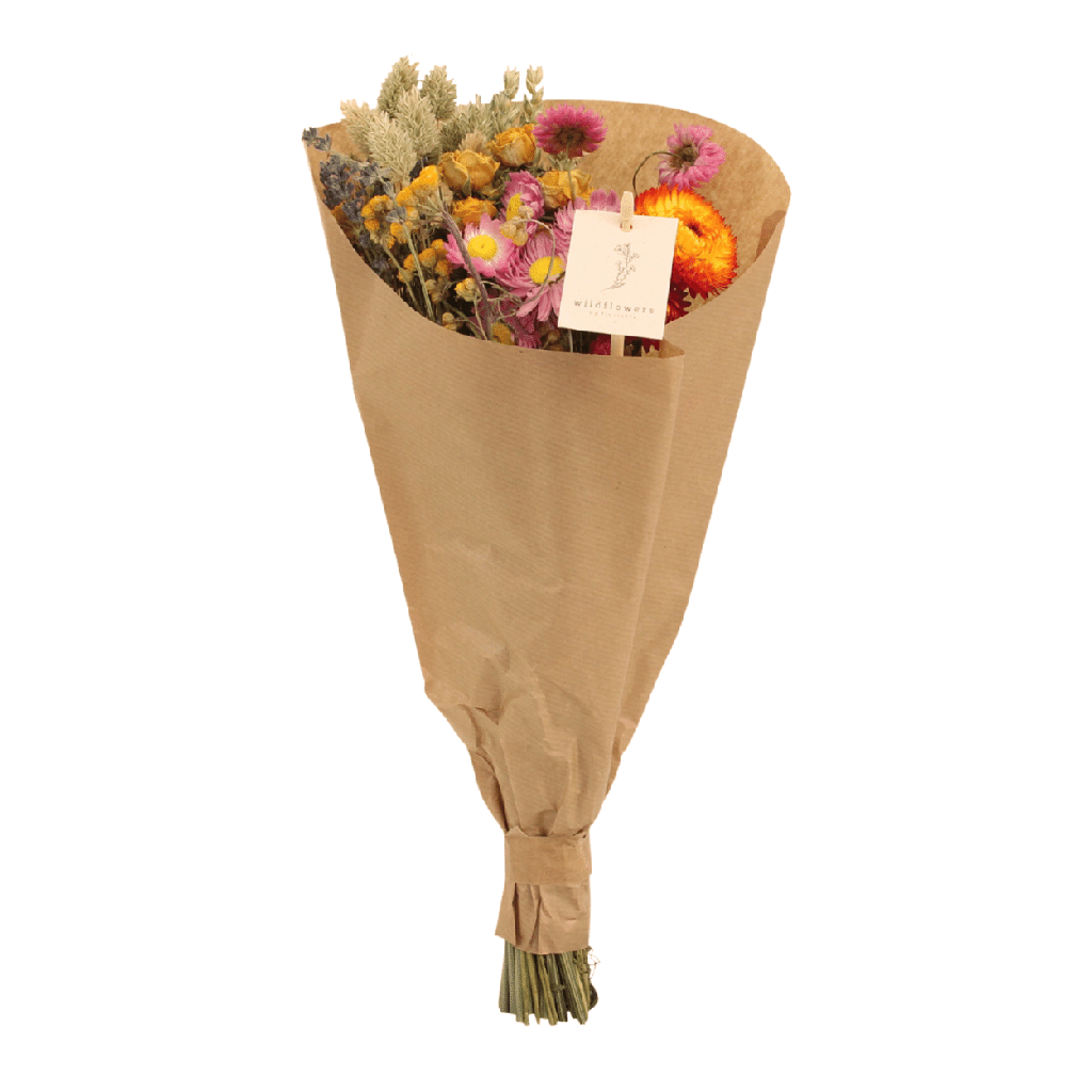 Trockenblumen Feldblumenstrauß Multi - Topf-Ø 15 cm - Höhe ca. 35 cm