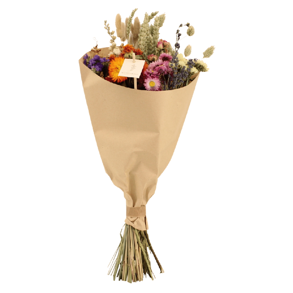 Trockenblumen Feldblumenstrauß Multi - Topf-Ø 20 cm - Höhe ca. 50 cm