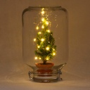 Birkenfeige 'Christmas' (Ficus) – pflegeleichte Zimmerpflanze