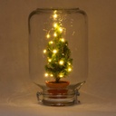 Easyplant - Ficus Christmas