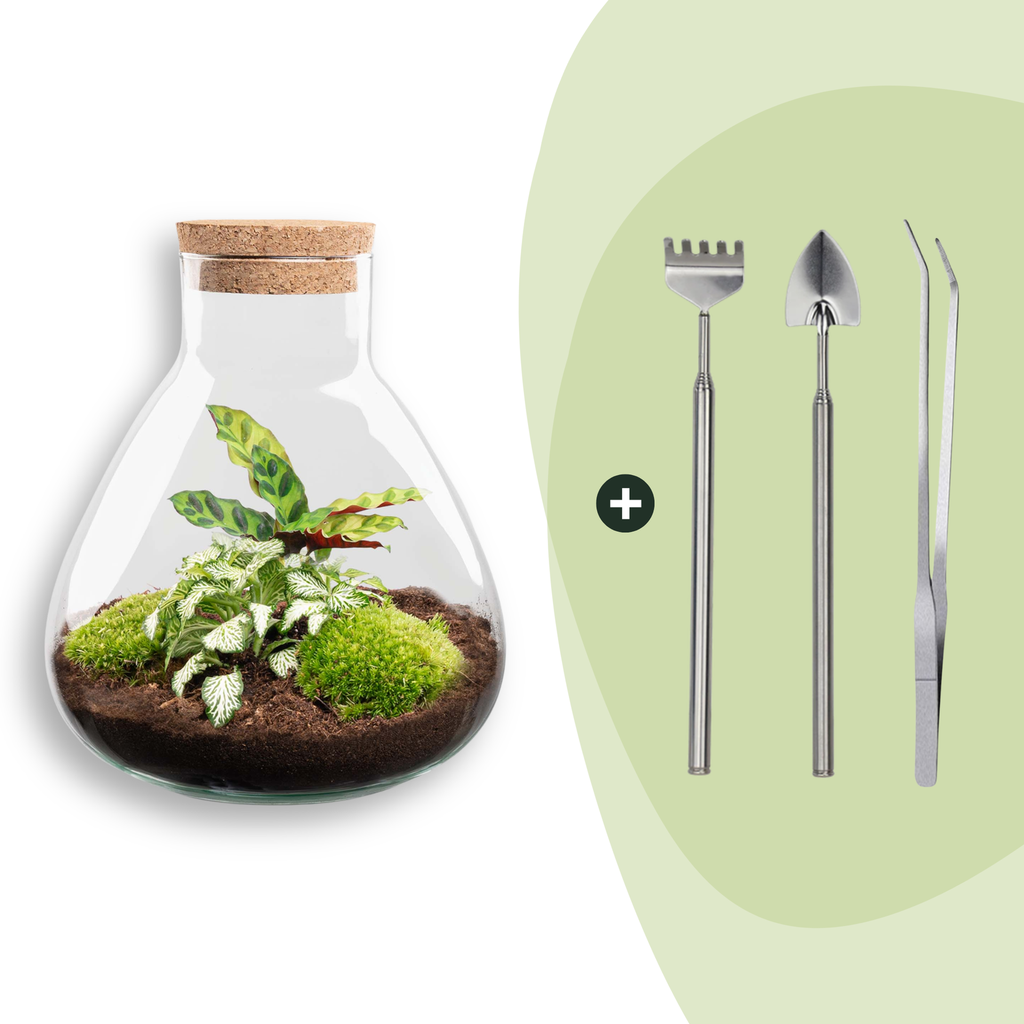 Flaschengarten - Sammie - ↕ 26 cm - Rake + Shovel + Tweezer