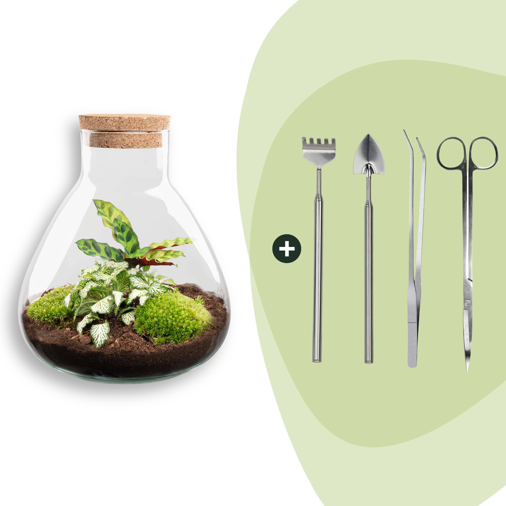 Flaschengarten - Sammie - ↕ 26 cm - Rake + Shovel + Tweezer + Scissors