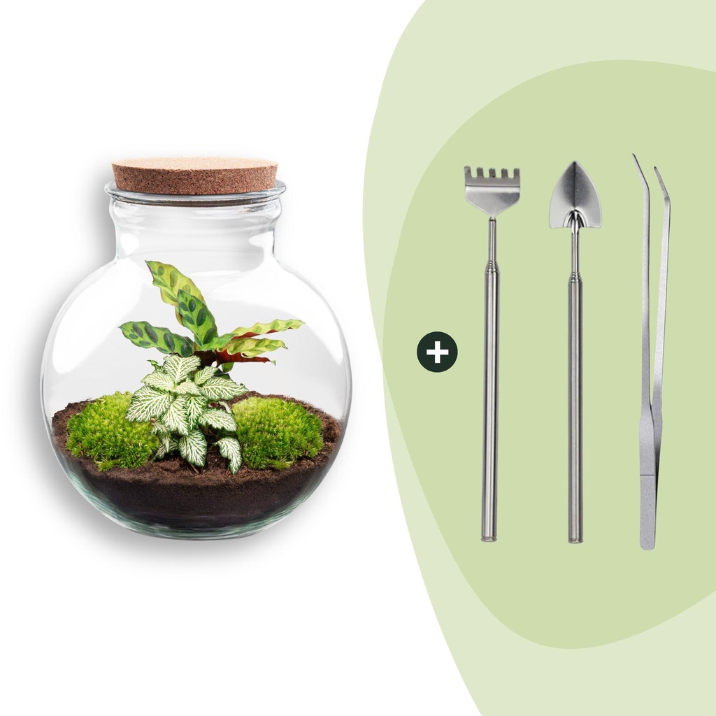 Flaschengarten - Teddy - ↕ 26,5 cm - Rake + Shovel + Tweezer