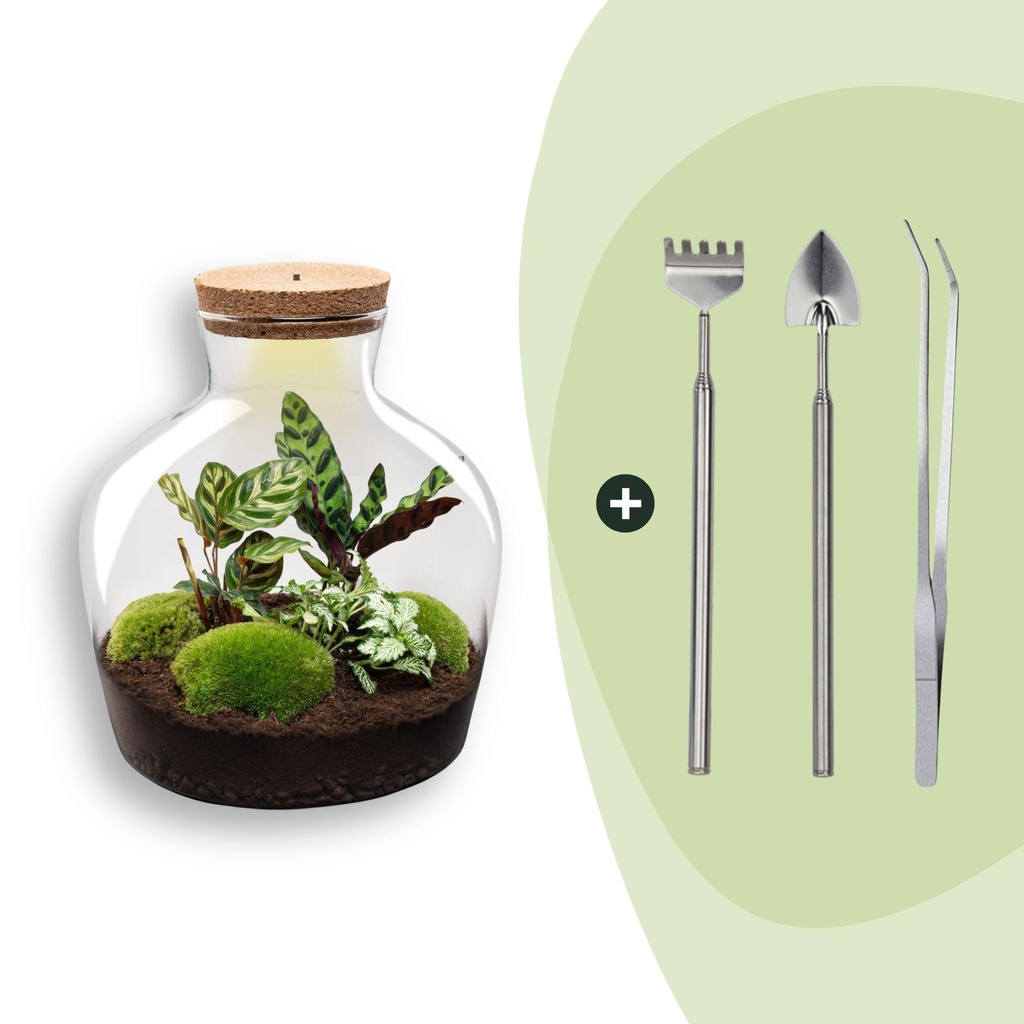 Flaschengarten -  Fat Joe - ↕ 30 cm - Rake + Shovel + Tweezer