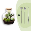 Flaschengarten -  Fat Joe - ↕ 30 cm - Rake + Shovel + Tweezer
