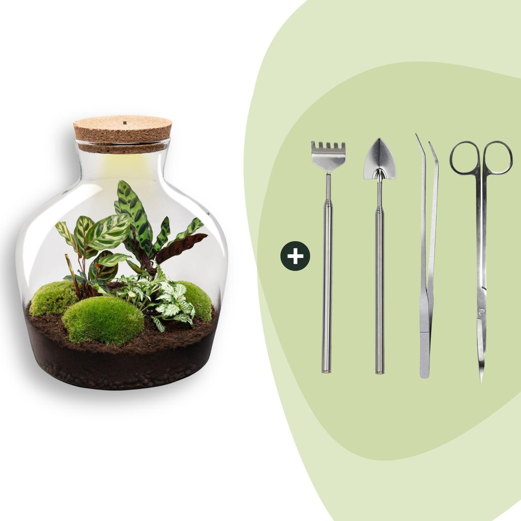 Flaschengarten -  Fat Joe - ↕ 30 cm - Rake + Shovel + Tweezer + Scissors