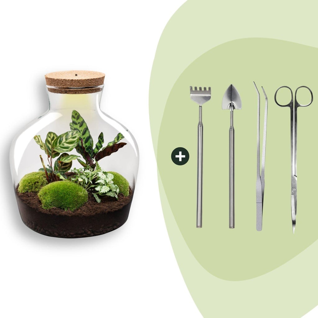 Flaschengarten -  Fat Joe - ↕ 30 cm - Rake + Shovel + Tweezer + Scissors