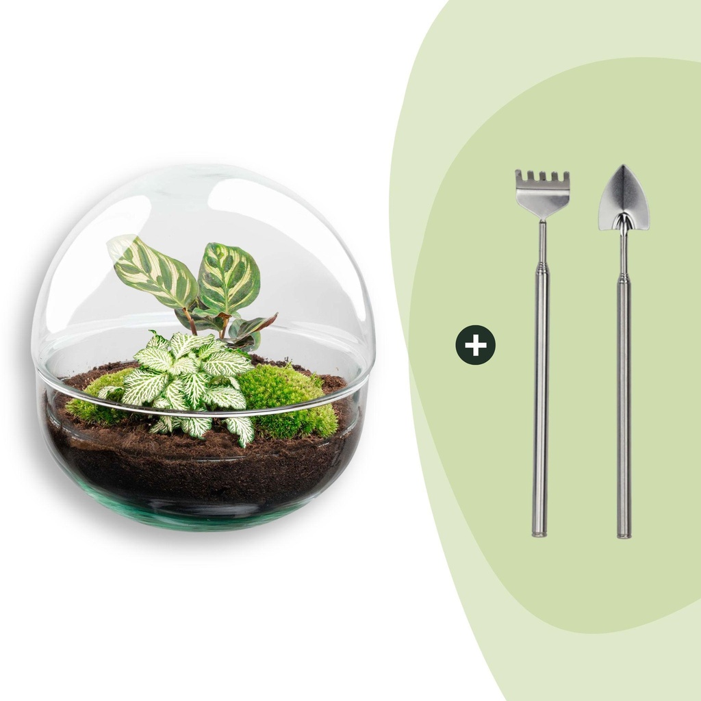 Flaschengarten - Dome - ↕ 20 cm - Rake + Shovel