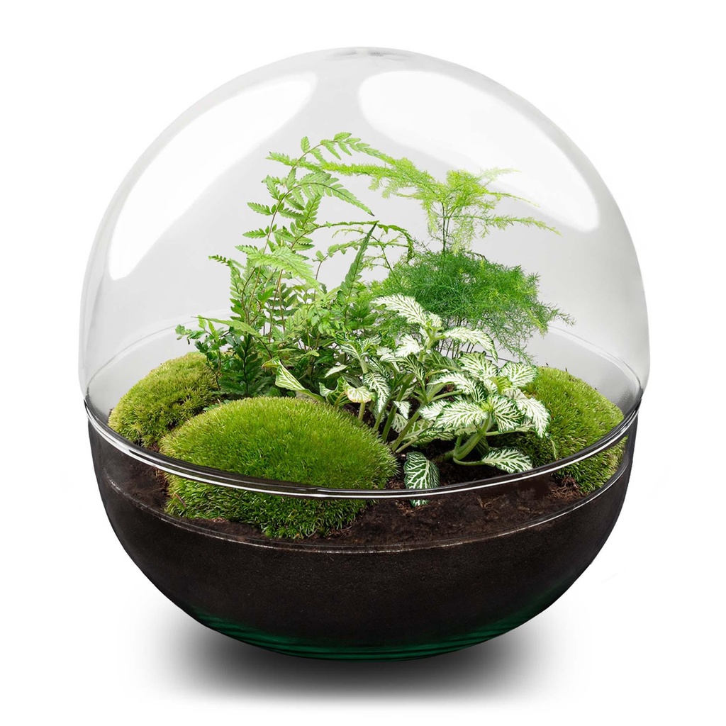 Flaschengarten - Dome XL - ↕ 30 cm - No tools