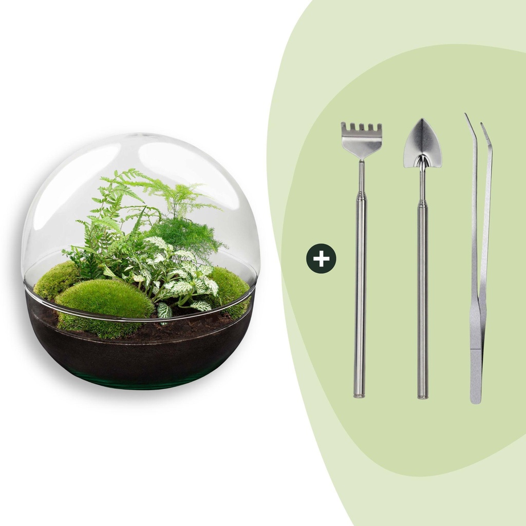 Flaschengarten - Dome XL - ↕ 30 cm - Rake + Shovel + Tweezer