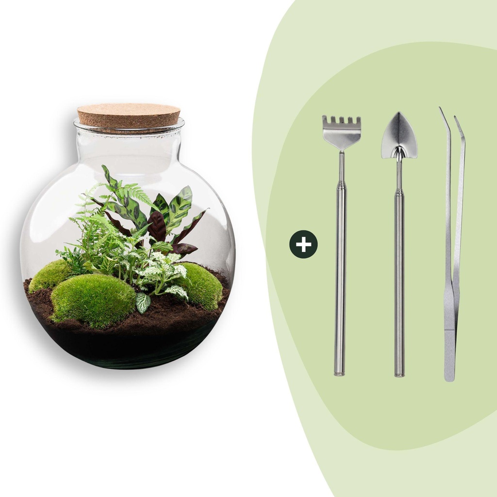 Flaschengarten - Bolder Bob - ↕ 30 cm - Rake + Shovel + Tweezer