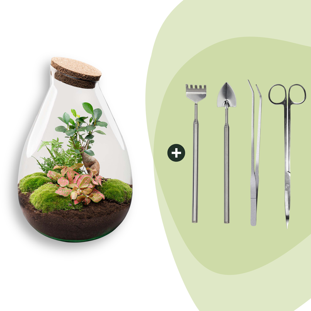 Flaschengarten - Drop XL - ↕ 37 cm - Rake + Shovel + Tweezer + Scissors