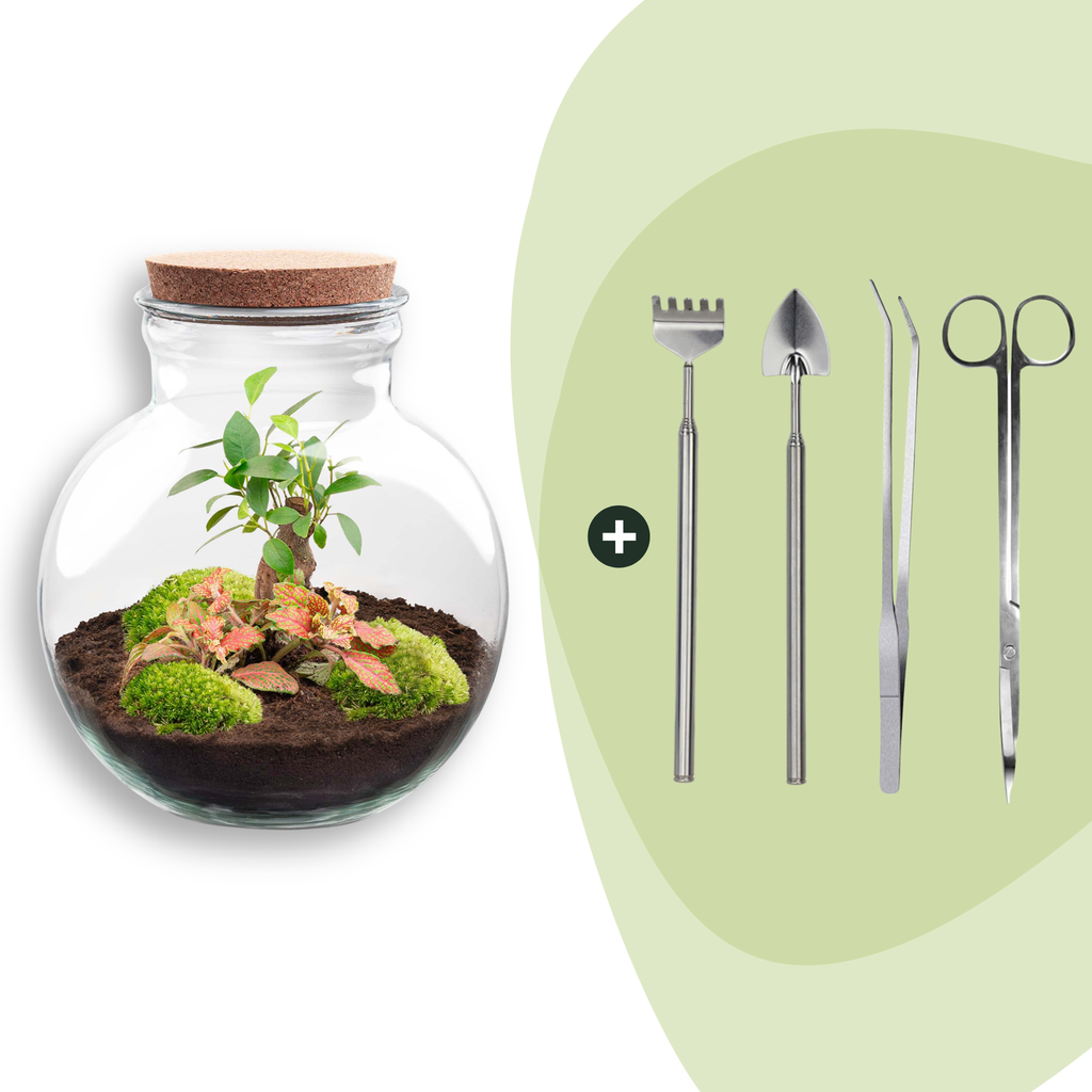 Flaschengarten - Teddy bonsai - ↕ 26,5 cm - Rake + Shovel + Tweezer + Scissors