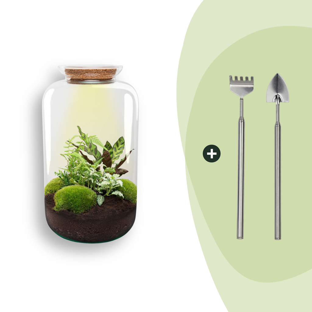 Flaschengarten - Botanical Sven XL - ↕ 43 cm - Rake + Shovel