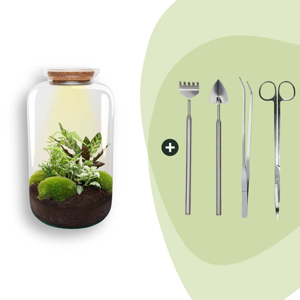 Flaschengarten - Botanical Sven XL - ↕ 43 cm - Rake + Shovel + Tweezer + Scissors